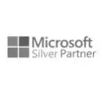 logo partner Microsoft Silver